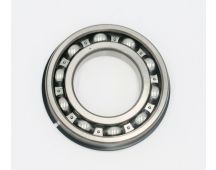 Input Shaft Roller Bearing