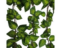 Artificial Pothos / Ivy Hanging Vines 260cm Each (5 pack)