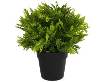 Small Potted Artificial Mimosa Fern UV Resistant 20cm