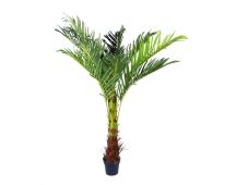 180cm Phoenix Palm - Artificial Plant, Home Decor Flora