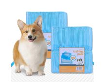 200pcs Dog Absorbent Training Pad 60 x 60 cm