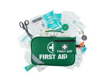 258 Piece Premium 2-in-1 Emergency First Aid Kit ARTG Registered Australia