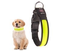 50cm Rechargeable Light-up LED Pet Collar