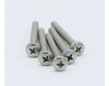 Stainless steel phillips head screw